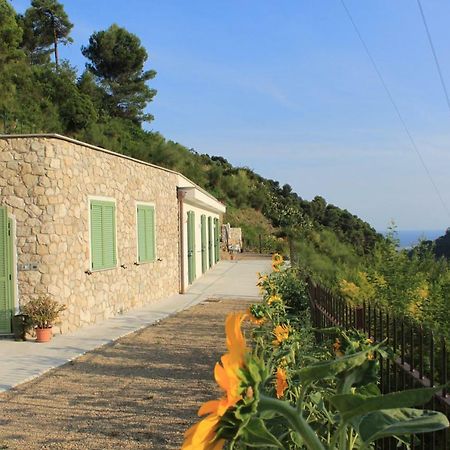 Il Casotto Del Nonno Apartman Ventimiglia Kültér fotó