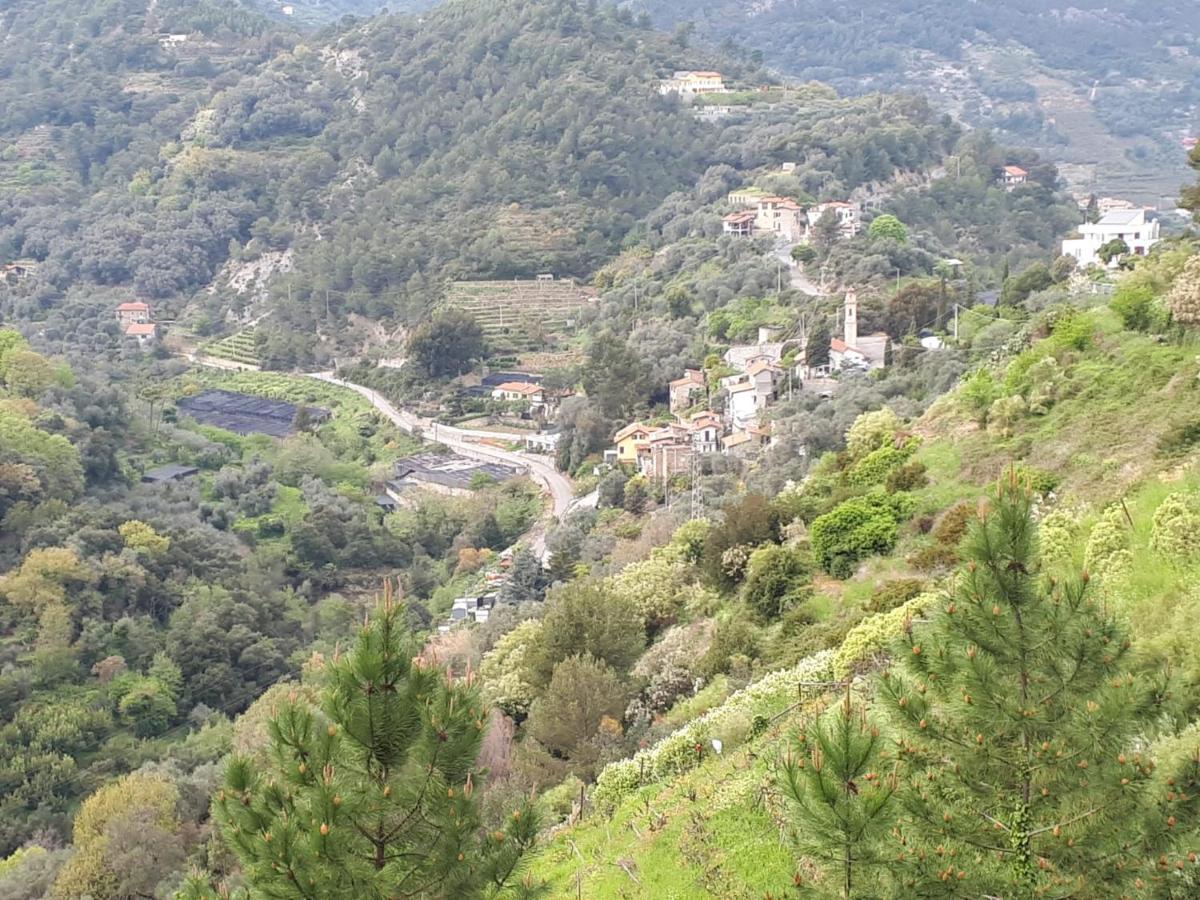 Il Casotto Del Nonno Apartman Ventimiglia Kültér fotó