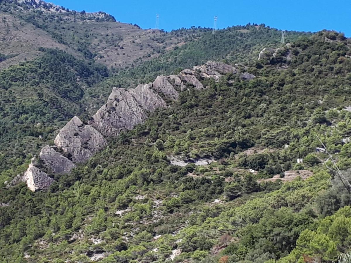 Il Casotto Del Nonno Apartman Ventimiglia Kültér fotó